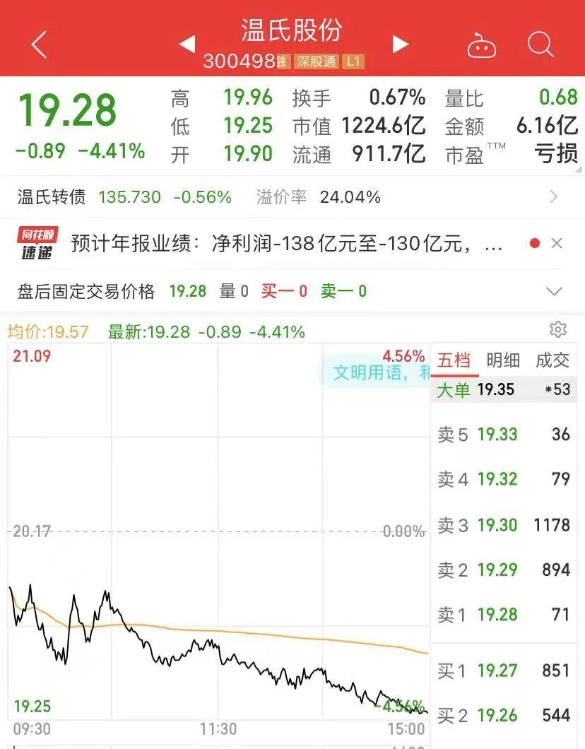 温氏最新市值，揭示龙头企业的发展潜力与价值