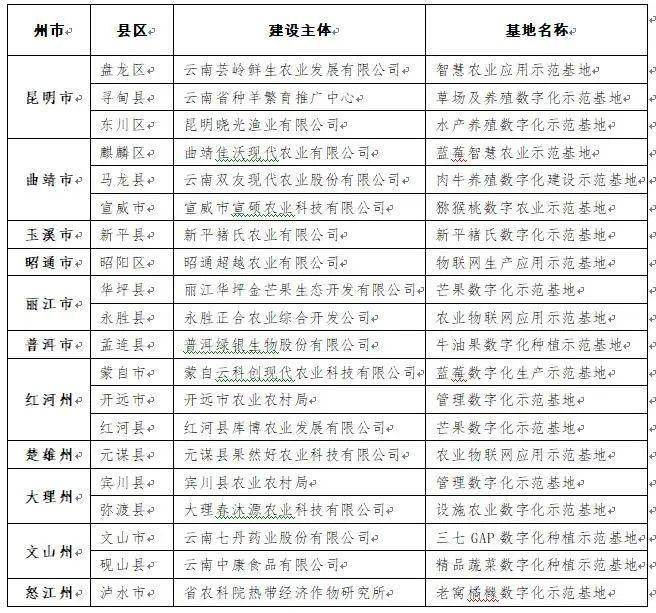 翻手云最新版，重新定义数字时代的可能性