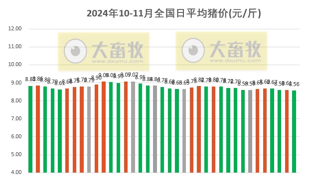 明日猪价最新信息，市场走势分析与预测