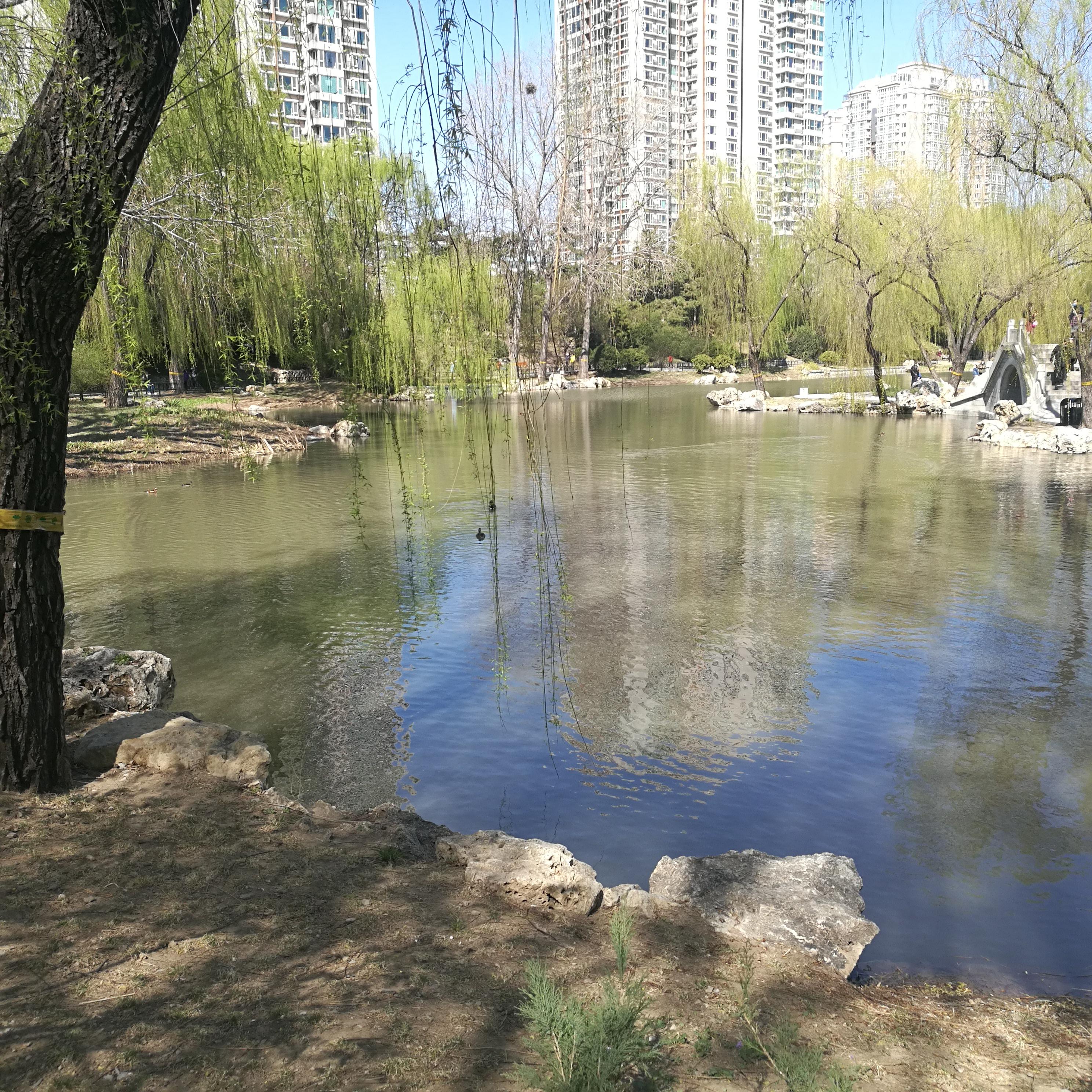 北京最新中风险街道，疫情之下的挑战与应对策略