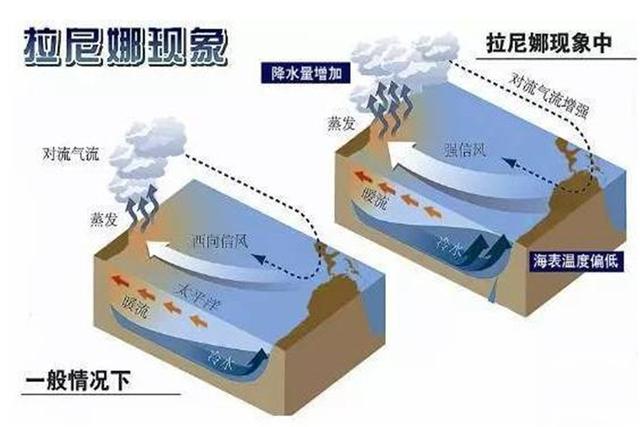 拉尼娜现象最新数据及其影响分析